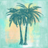 Tropicalifornia II Poster Print - Tina Lavoie (24 x 24)