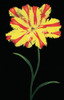 Tulip Fantasy II Poster Print - joSon (23 x 36)