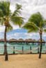 French Polynesia- Moorea. Overwater bungalows and hammock. Poster Print - Gallery Jaynes (24 x 36)