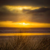 Dune Grasses in the Sunset Poster Print - Don Schwartz (12 x 12)