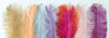 Array of soft multi-coloured pastel Ostrich feathers Poster Print - Assaf Frank (36 x 12)