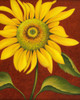Sunflower Poster Print - John Zaccheo (12 x 15)