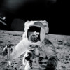 Astronaut Alan Bean Poster Print - NASA (24 x 24)