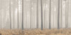 Misty Forest Poster Print - Assaf Frank (36 x 18)