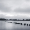 Serene River Poster Print - Don Schwartz (12 x 12)