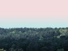 Tree tops at dusk Poster Print - Assaf Frank (24 x 18)