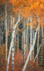 Autumn Woodland Poster Print - Don Schwartz (22 x 36)