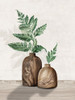 Fern and Wood I Poster Print - Eva Watts # VARPDXEW818A