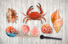 Marine Biology Poster Print - Tina Lavoie (36 x 23)