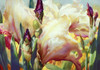 Iris Garden Poster Print - Elizabeth Horning (34 x 24)