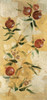 Golden Pomegranites Poster Print - Susan Gillette (17 x 36)