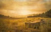 Rowboat in the Dune Grasses Poster Print - Don Schwartz (24 x 15)