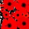 Poppies In Flight Poster Print - Tina Lavoie (24 x 24)