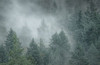 Draped in Clouds Poster Print - Don Schwartz (18 x 12)