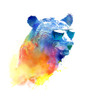 Sunny Bear 2 Poster Print - Robert Farkas (24 x 26)