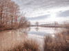 Pond reflection Poster Print - Assaf Frank (32 x 24)