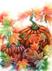 Autumn Pumpkins Poster Print - Martin Wickstrom (12 x 17)