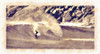 Carving Poster Print - Noah Bay (36 x 19)