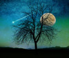 Opalescent Sky Poster Print - Tina Lavoie (14 x 12)