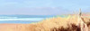 Offshore Breeze Poster Print - Noah Bay (36 x 12)