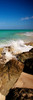 Rising Tide Panel I Poster Print - Susan Bryant (8 x 24)