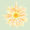 Colorful Flower V Poster Print - Irena Orlov (24 x 24)