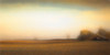 Barn on a Foggy Morning Poster Print - Don Schwartz (36 x 18)