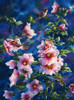 Hollyhocks And Hummingbirds Poster Print - Jeff Tift (12 x 16)