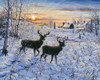 Two Deer In The Moonlight Poster Print - Jeff Tift (30 x 24)