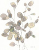 Transparent Leaves Dark Crop Poster Print - Danhui Nai # VARPDX79113