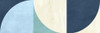 Emisphere II Poster Print - Sandro Nava (24 x 8)