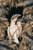 Jungle With Cockatoos Poster Print - Andrea Haase (24 x 36)