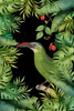 Jungle With Green Toucan Poster Print - Andrea Haase (12 x 18)
