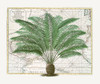 Tropical Empire No5 Poster Print - Andrea Haase (12 x 10)
