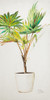 Essential Compliment on White VI Poster Print - Patricia Pinto (12 x 24)