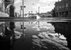 After the Rain  (BAndW) Poster Print - Images Gasoline (34 x 24)