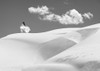 White Sands Poster Print - Julian Lauren (24 x 17)