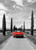 Sportscar in Tuscany Poster Print - Gasoline Images # VARPDX3AP6175