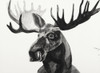 Watercolor Moose Poster Print - Ben Gordon (24 x 17)