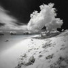 Infrared Beach II Poster Print - Marta Wiley (24 x 24)
