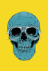 Blue Skull Poster Print - Balazs Solti (12 x 18)
