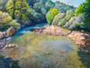 Ansa nel torrente Poster Print - Adriano Galasso (24 x 18)