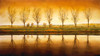 La Belle Terre Poster Print - Cory Steffen (24 x 13)