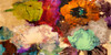 Floating Flowers Poster Print - Jim Stone # VARPDX2SN5816