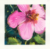 Tropical Poster Print - Annelein Beukenkamp (24 x 24)