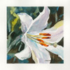 Pure Poster Print - Annelein Beukenkamp (24 x 24)