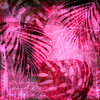 Hot Summer Jungle I Poster Print - Andrea Haase # VARPDX83080