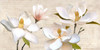 Ivory Magnolia Poster Print - Luca Villa (24 x 12)