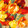 Tulips in the Sun II Poster Print - Jim Stone # VARPDX1SN6228