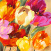 Colorful Tulips II Poster Print - Jim Stone # VARPDX1SN6230